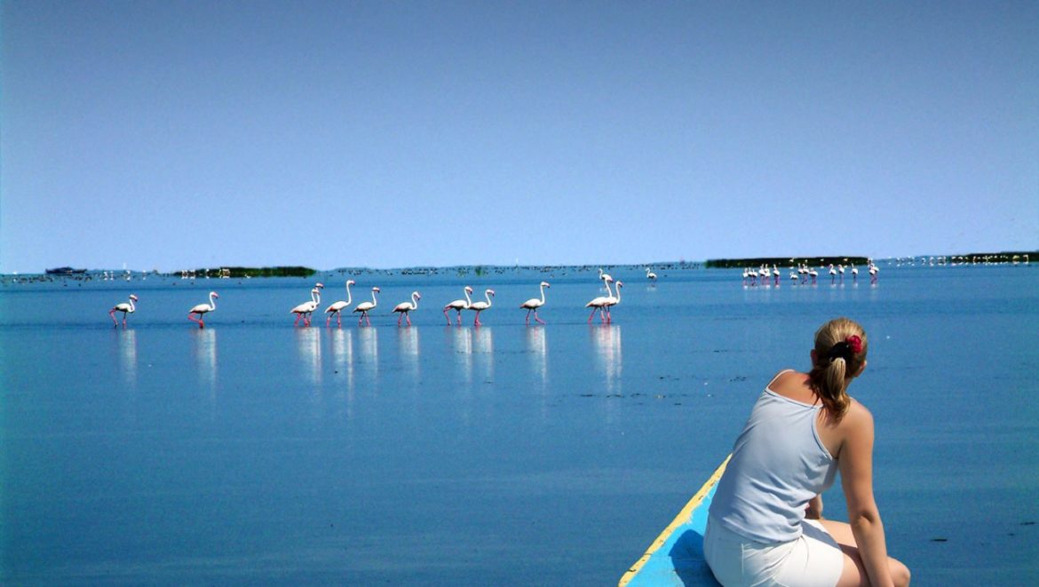Chilka Lake