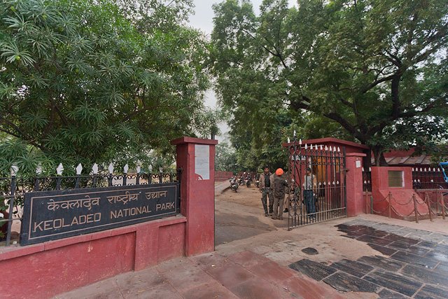 keoladeo_national_park