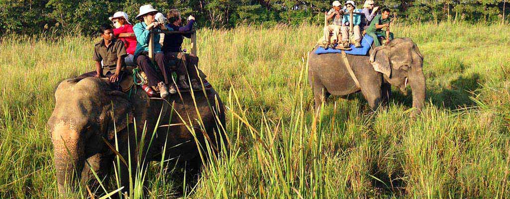 Jim Corbett National Park