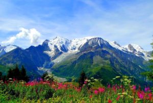 Valley of flowers national park