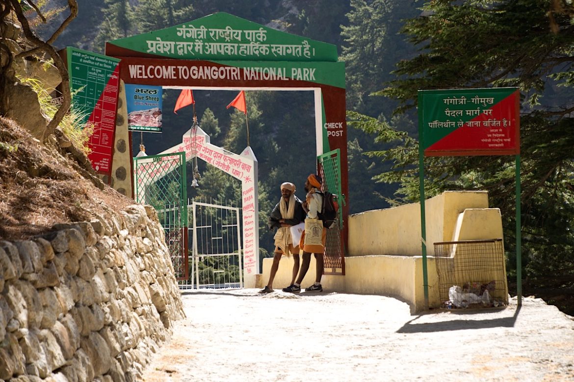 Gangotri National Park