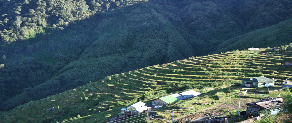 Zuluk (Sikkim)