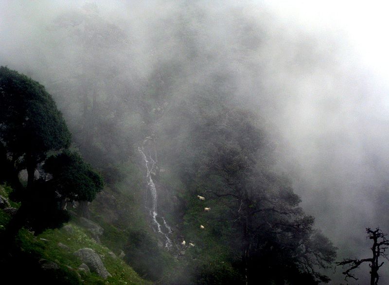 Triund Trek