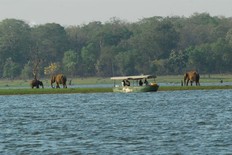 Kabini