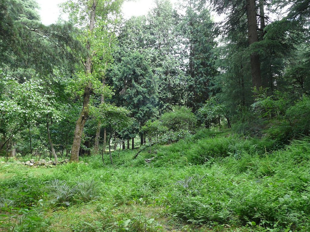 Van Vihar National Park manali
