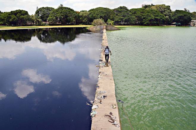 Ulsoor Lake